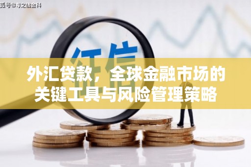 虎尾外汇贷款，全球金融市场的关键工具与风险管理策略