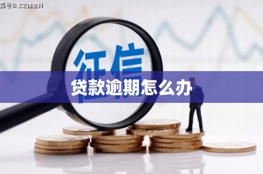 虎尾贷款逾期怎么办