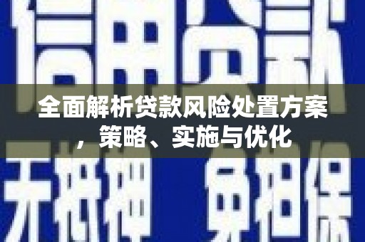 虎尾全面解析贷款风险处置方案，策略、实施与优化