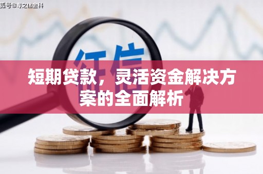 虎尾短期贷款，灵活资金解决方案的全面解析