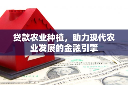虎尾贷款农业种植，助力现代农业发展的金融引擎