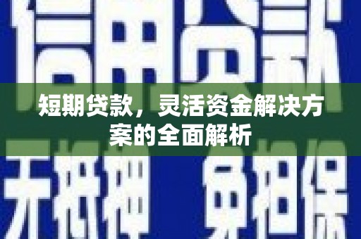 虎尾短期贷款，灵活资金解决方案的全面解析