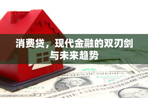 虎尾消费贷，现代金融的双刃剑与未来趋势