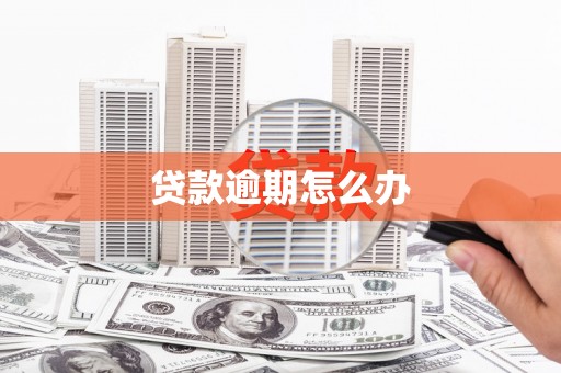 虎尾贷款逾期怎么办