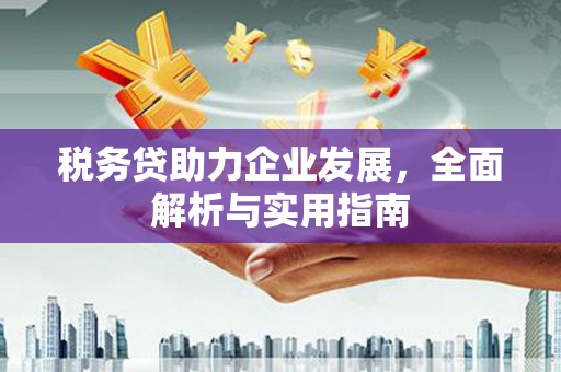 虎尾税务贷助力企业发展，全面解析与实用指南