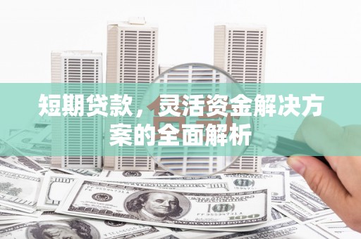 虎尾短期贷款，灵活资金解决方案的全面解析