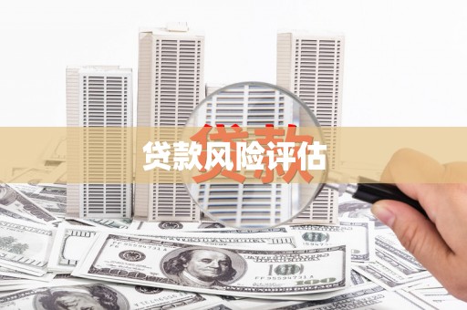 虎尾贷款风险评估