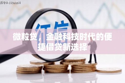 虎尾微粒贷，金融科技时代的便捷借贷新选择