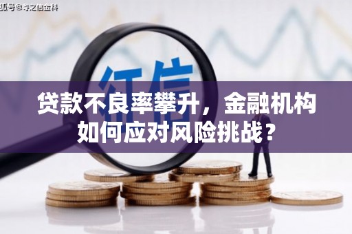虎尾贷款不良率攀升，金融机构如何应对风险挑战？