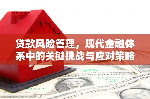 虎尾贷款风险管理，现代金融体系中的关键挑战与应对策略