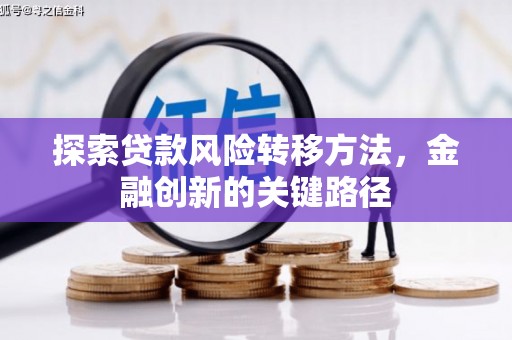 虎尾探索贷款风险转移方法，金融创新的关键路径