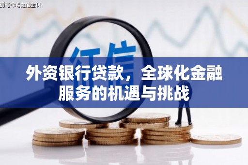 虎尾外资银行贷款，全球化金融服务的机遇与挑战