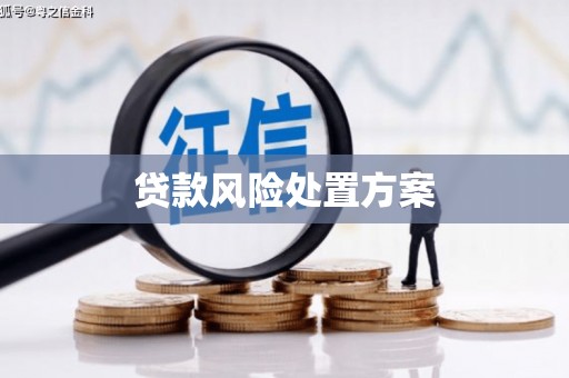 虎尾贷款风险处置方案