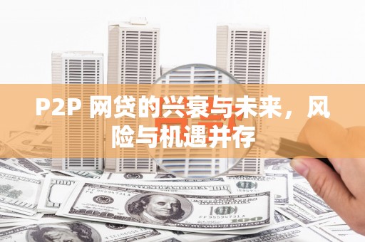 虎尾P2P 网贷的兴衰与未来，风险与机遇并存