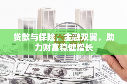 虎尾贷款与保险，金融双翼，助力财富稳健增长