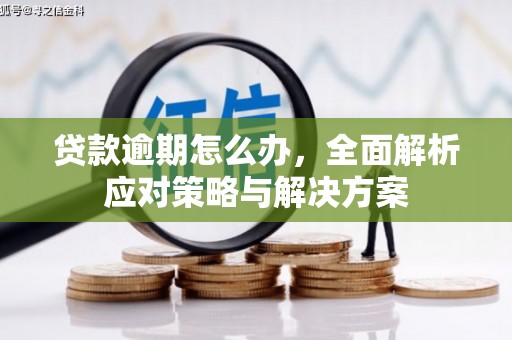 虎尾贷款逾期怎么办，全面解析应对策略与解决方案