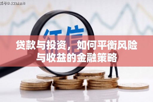 虎尾贷款与投资，如何平衡风险与收益的金融策略