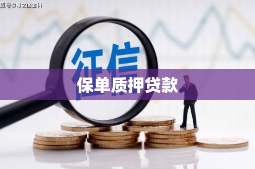 虎尾保单质押贷款
