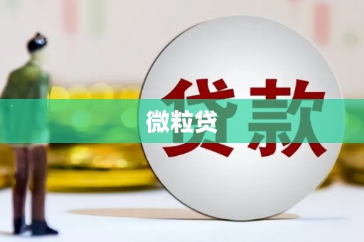 虎尾微粒贷