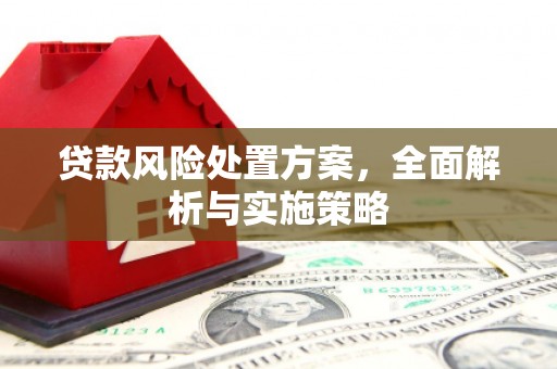 虎尾贷款风险处置方案，全面解析与实施策略