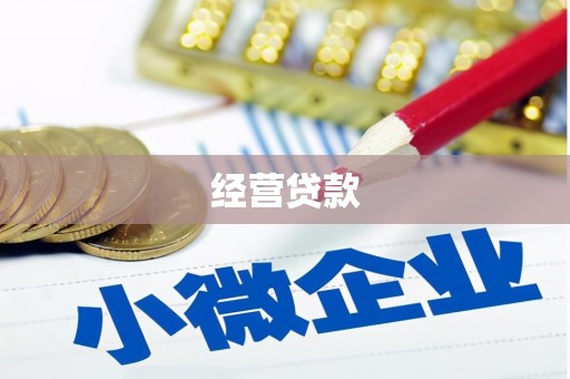 虎尾经营贷款