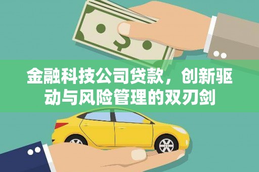 虎尾金融科技公司贷款，创新驱动与风险管理的双刃剑